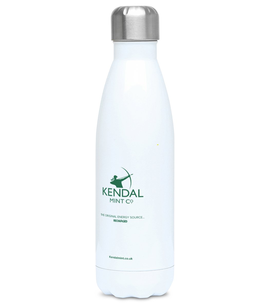 Stainless Steel Insulated Flask 500ml - Conquer Your Everest
